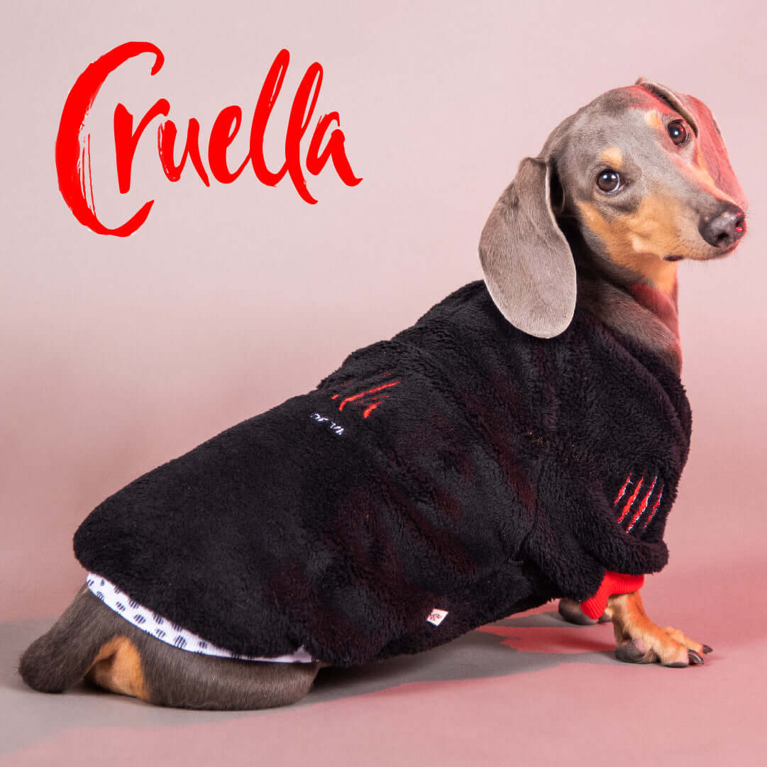 Goth-style black and white dog jacket with cozy lining and leash opening